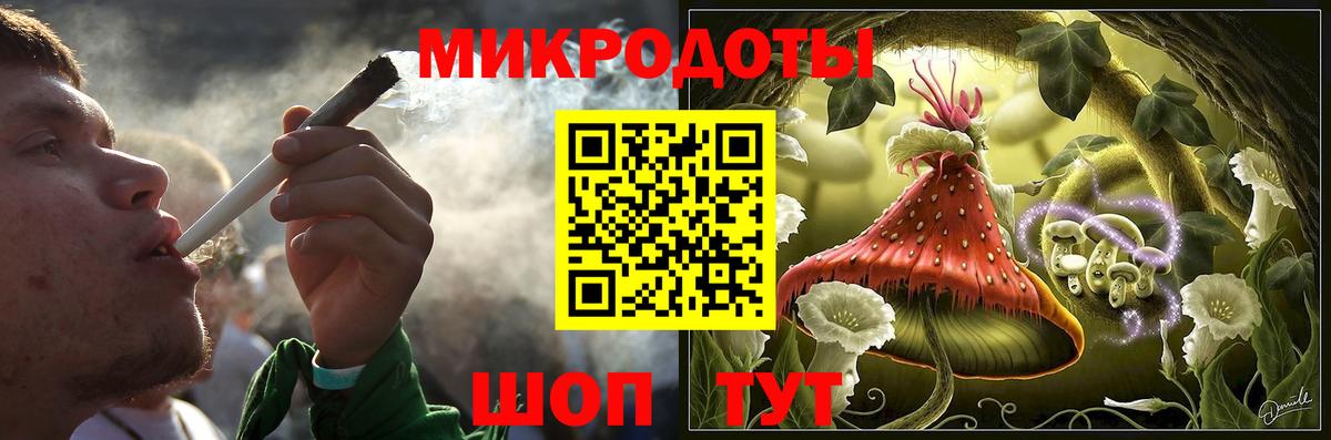 Псилоцибиновые грибы Psilocybine cubensis Стрежевой